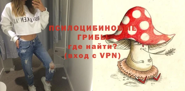 Альфа ПВП Вязьма