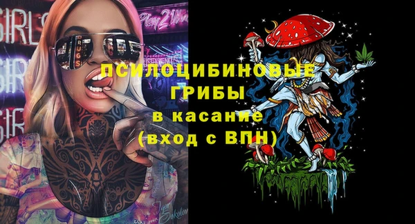 Альфа ПВП Вязьма