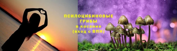 ALPHA PVP Вяземский