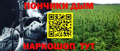 шишки Будённовск
