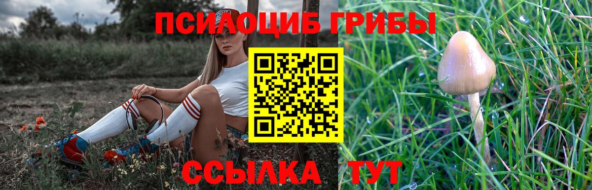 Галлюциногенные грибы ЛСД  Вход с VPN  Десногорск 