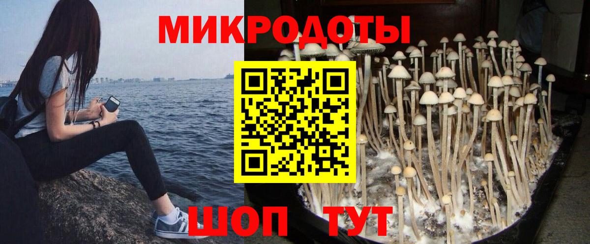 Галлюциногенные грибы Cubensis  Десногорск 