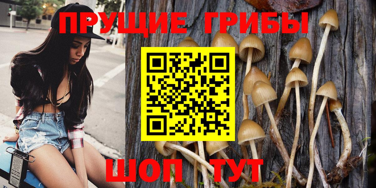 Псилоцибиновые грибы ЛСД Десногорск