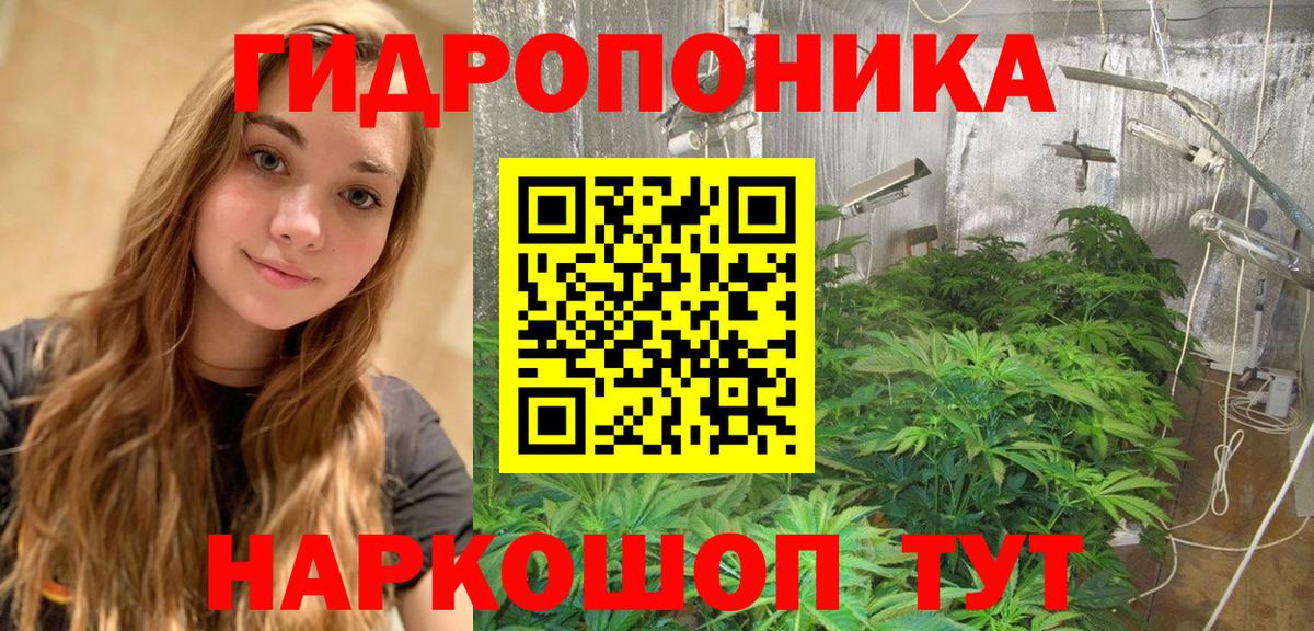 Марихуана семена  Бошки Шишки THC 21%  Десногорск  Марихуана план  Канабис ГИДРОПОН  Вход с VPN 